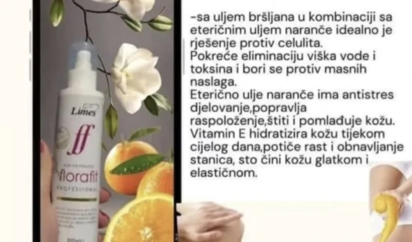 Slika 1